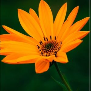 Meet your Posher, Kara